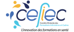 Logo CEFIEC - CEFIEC - Comité d’entente des formations infirmières et cadres