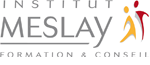 Logo Institut Meslay